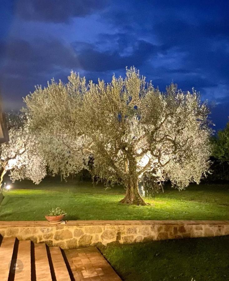 Agriturismo Eco-Bio Villa Vacasio Питиляно Екстериор снимка