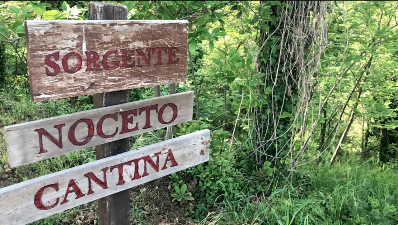 Agriturismo Eco-Bio Villa Vacasio Питиляно Екстериор снимка