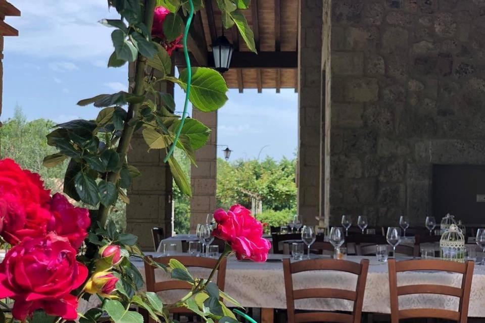 Agriturismo Eco-Bio Villa Vacasio Питиляно Екстериор снимка